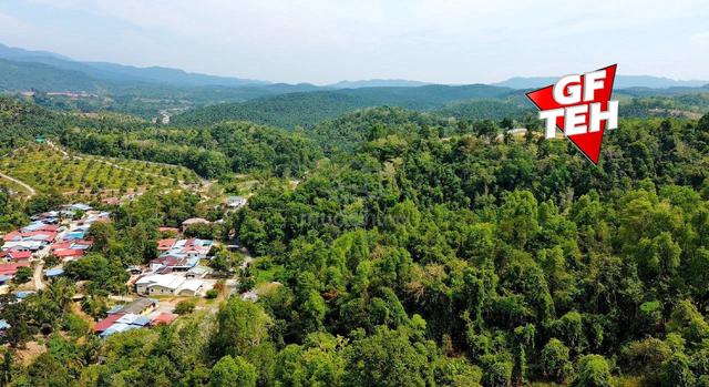 35.18 acre Agricultural Land | near Kulim Town area | Kedah 1