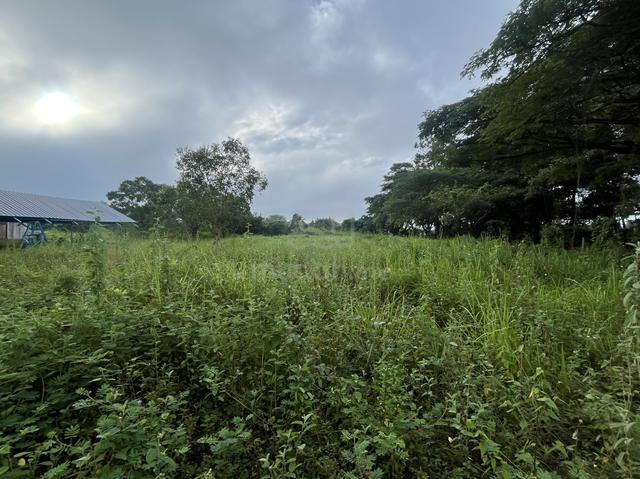 Tanah Untuk Dijual/Disewa 3