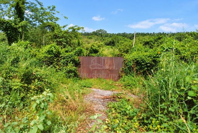 [Best Deals] Land (7 Acres) @ Jalan Ekor Kucing 1