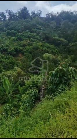 Karak highland land for sale 1