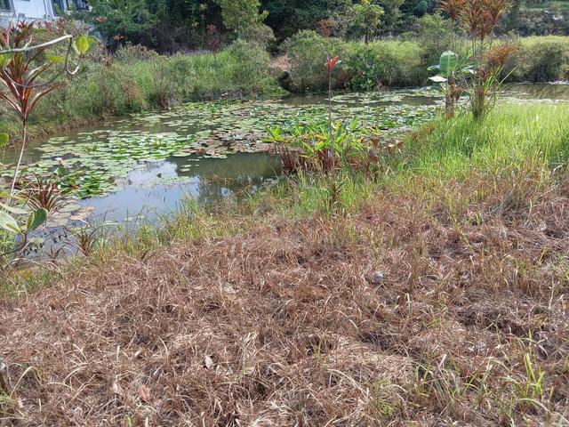 Land for sale Kemensah Heights Selangor Freehold 1