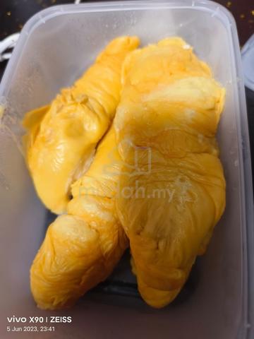 Kebun Musang King Sg Selesek Hulu Bernam, (nego) 3
