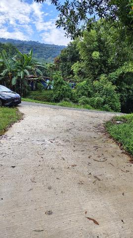 Tanah di kinarut papar 1