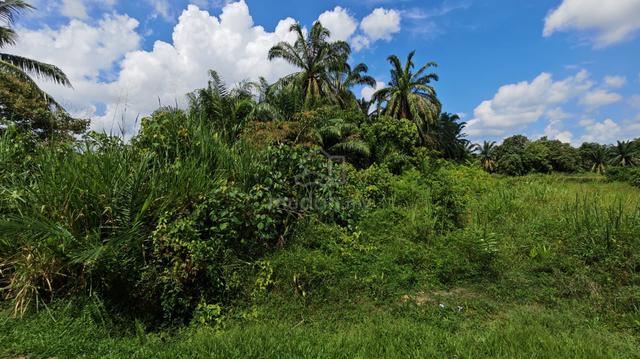 Tanah Ayer Hitam, Kluang 1
