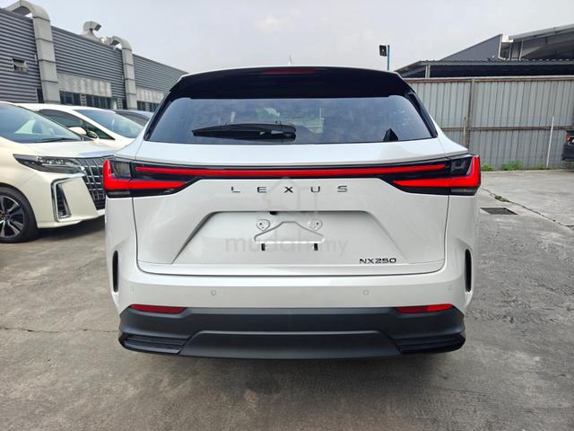 2023 Lexus NX 250 Luxury 4Cam Brown Leather DIMHUD - 4