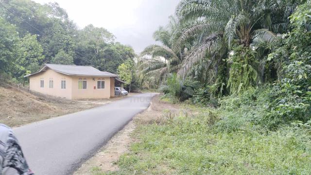 Terengganu Hulu Terengganu Agricultural Freehold Land For Sale 1