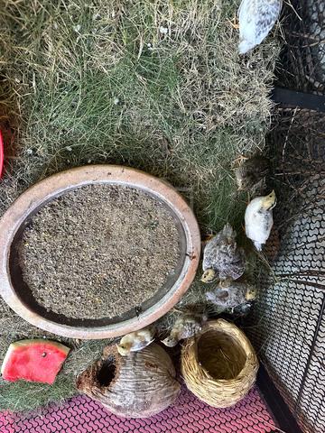Carousel Image