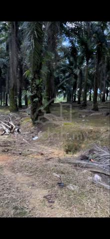 Bukit batu land for sale 1