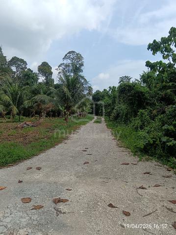 1.08ac Balik Pulau Land for rent 1