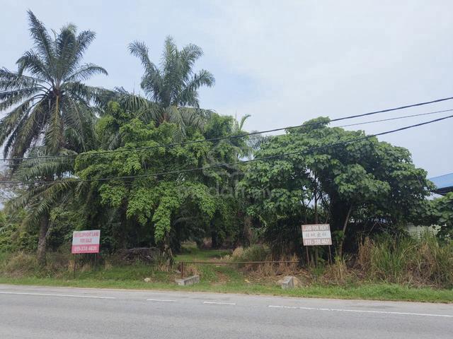Selangor Kuala Langat Morib / Kelanang 3.11 acres Agri Land (Oil Palm) 2