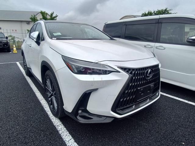 2023 Lexus NX250 2.5standard (A)03445 - 1