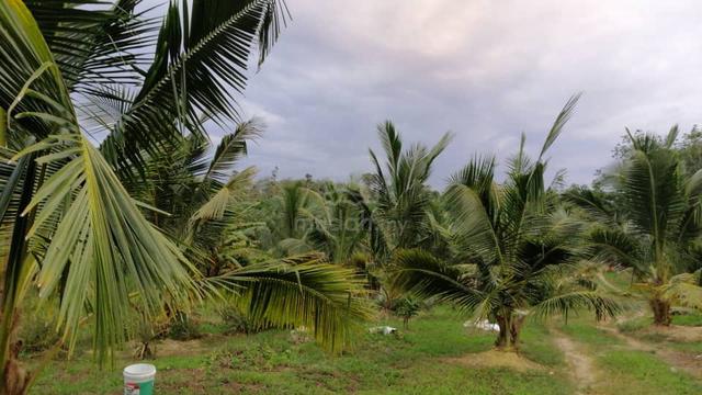 Best Location Segamat Town Area 3.6 acres Agriculture land For Sale 1