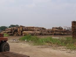 Industrial Plot for Sale 1