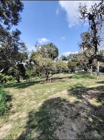 Premium Durian Orchard Investment Opportunity – Jelebu 1