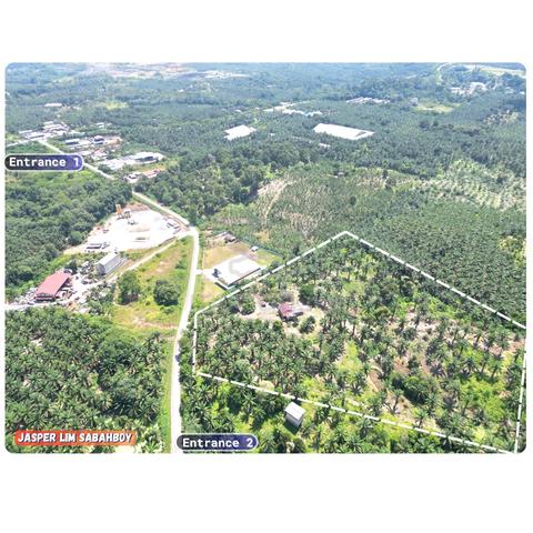 Agricultural Land| Ideal for Warehouse & Industrial Development ✨🏡 1