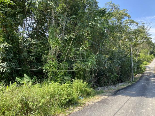 Two lots in Sg Plong, Sg Buloh, Selangor 1