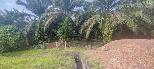 2.6Ekar Tanah Kebun Tepi Highways Karak Untuk Dijual 1