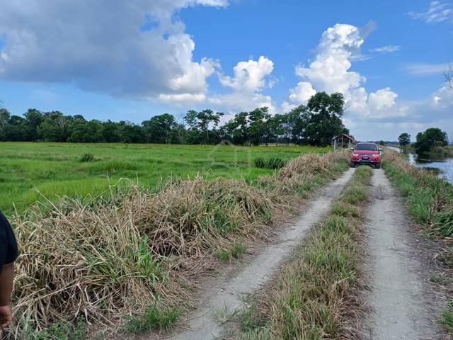Tanah Sawah Untuk Dijual 1