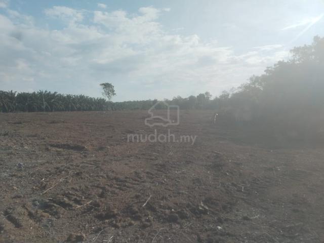 Kuala Krau Land for sale 1