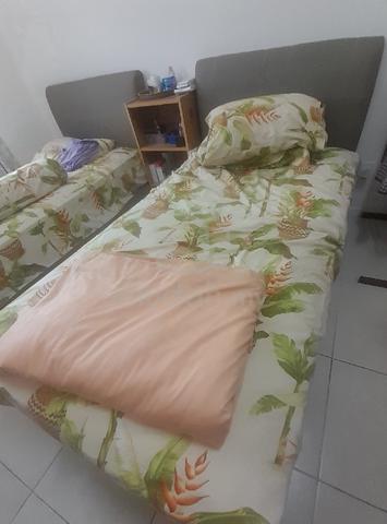 King Koil singles bed - photo 2 of 2
