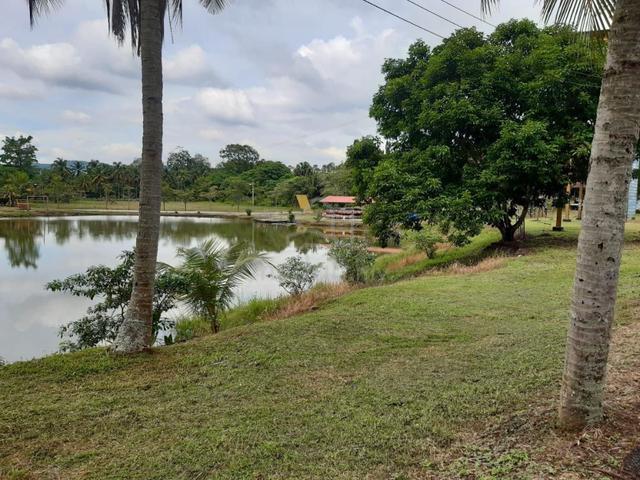MAIN ROAD 50 acres Agricultural Industrial Land Semenyih 4