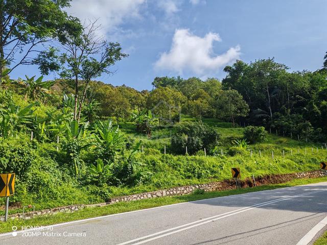 4 acres durian farm with road frontage lenggeng, negeri sembilan 1