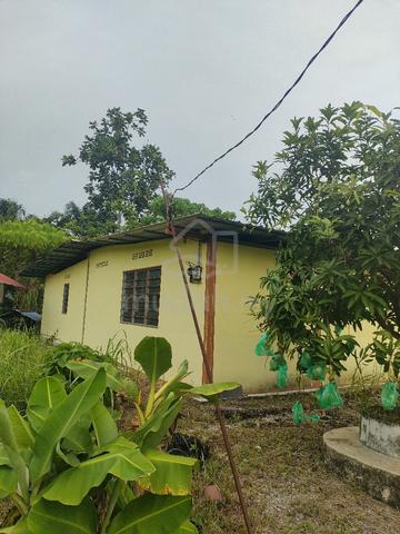 rumah sungai seluang atas/ kampung titi tok aris dalam kebun 1