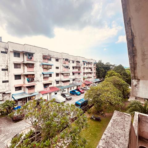 Mahsuri Flat 1
