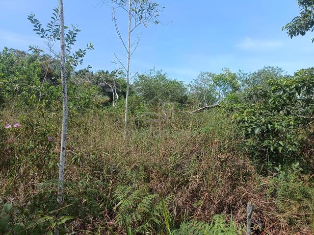 Tanah Untuk Disewa 1