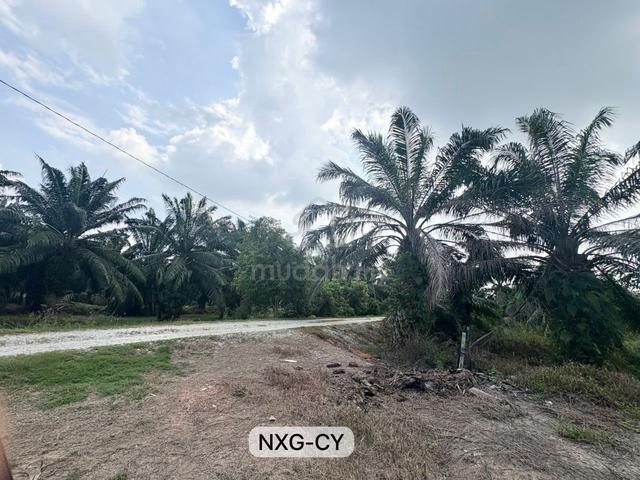 2.37 ACRES !! Kampung Permatang Agriculture Land Kuala Selangor 1