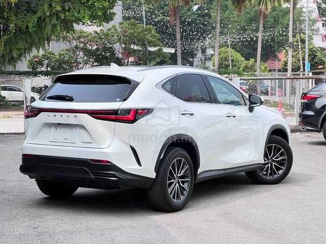 2023 Lexus NX250 2.5 💥120% LOAN/ CASH BACK💥 - 2