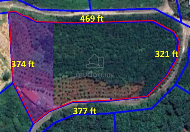 Sandalwood Farm, 3.05 ac, Kpg Kundur Hilir, Pedas, Negeri Sembilan 1