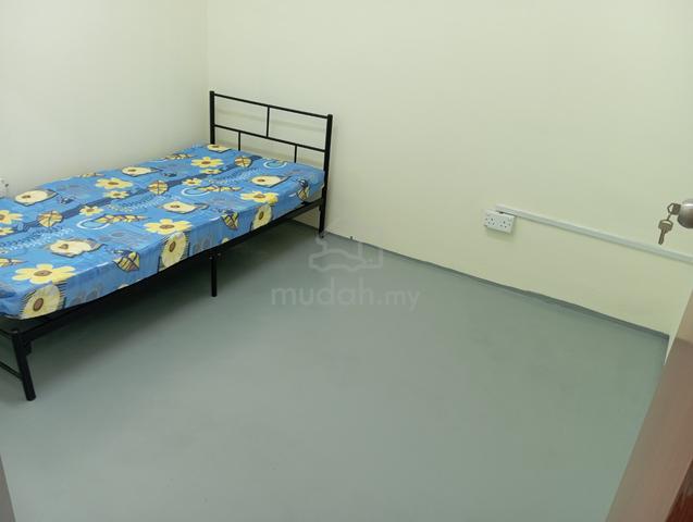 Cheap and Spacious Room For Rent (New-renovated and furnished) 1