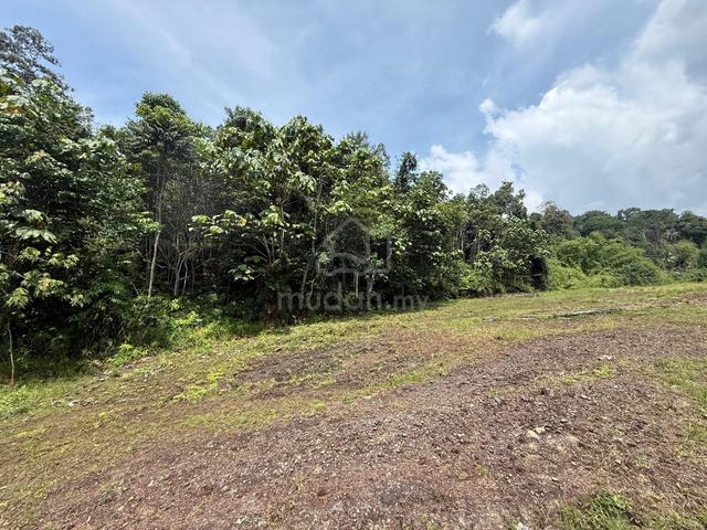 Hulu langat Agriculture land for sale 1