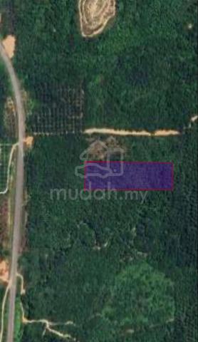 Tanah Pertanian Hulu Besut 1