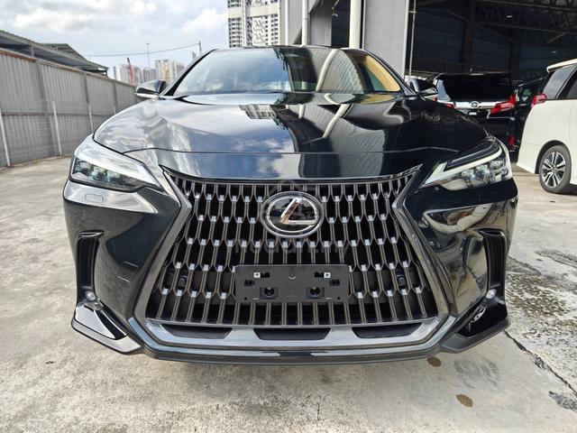 2021 Lexus NX 250 2.5 VL S/Roof 4Cam HUD P/Boot - 3
