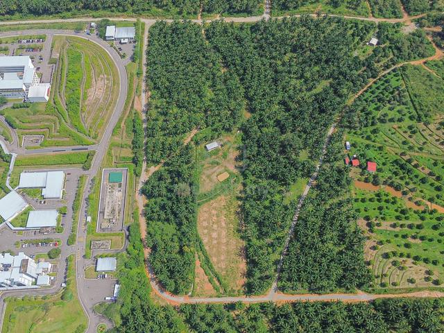FLAT LAND + 3 ACRE❗️Agricultural Land, Rembau, Negeri Sembilan 2