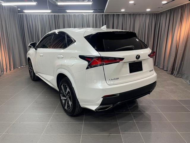 2019 Lexus NX300 2.0 Premium (A) SUV - 5