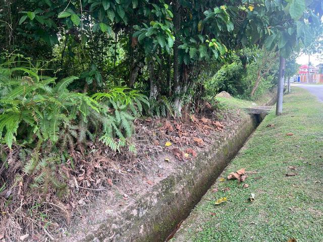 Freehold -Non Bumi 9,496 sq ft Bungalow lot for Sale Rasah Kemayan 1
