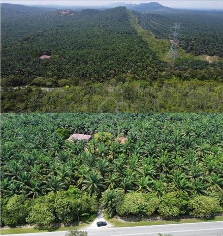 Tanah Kelapa Sawit 104 ekar untuk dijual. 1