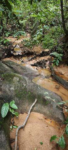 Tanah di Kepah 1
