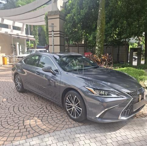 2022 Lexus ES250 LUXURY 2.5L (A) - 1