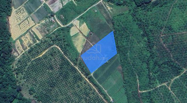 Tanah pertanian untuk dijual – Batu 16, Jalan Johor-Kota Tinggi, Johor 1