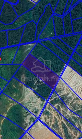 [Murah & Below MV] Tanah Pertanian 5 Ekar Kg Haji Sulaiman Rembau 2