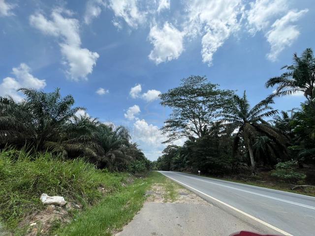 senai main road only 25 ,19 acres 1