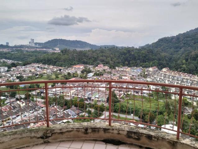 Venice Hill 1