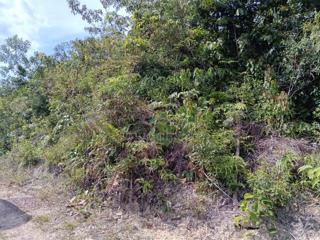 Agriculture land in Ampang pecah KKB Selangor 1