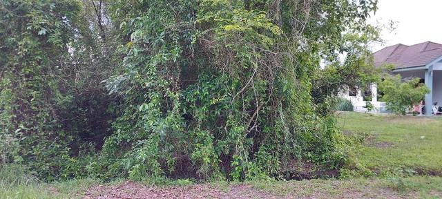 Tanah Lot Banglow Bukit Gading Utk Dijual 1