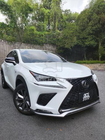 2019 Lexus NX300 2.0 F SPORT (A) - 1