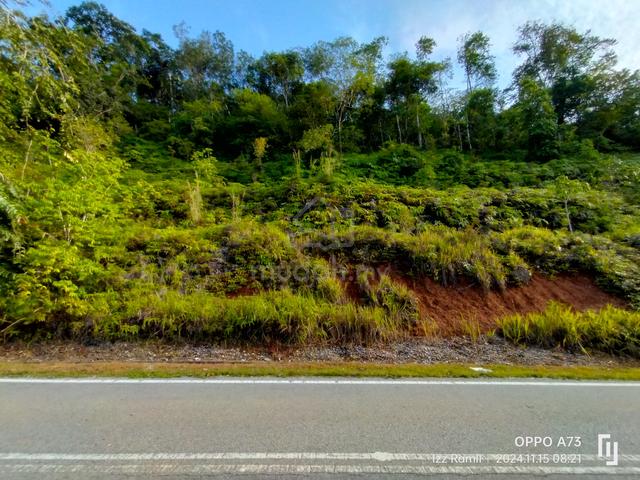 3.8 Ekar Tepi Jalan Ulu Dong Raub (BERBUKIT+VIEW CANTIK+INFRA MUDAH) 2